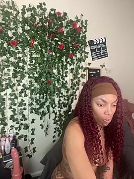 butterflybootyy online show from January 2025 05:08:02 AM