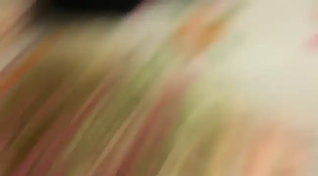 wild x predator online show from January 2025 04:09:01 PM