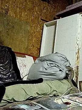 Snapshot of lilbishmiss chatting on October 2025 11:50:01 PM lilbishmiss online show from October 2025 11:50:01 PM