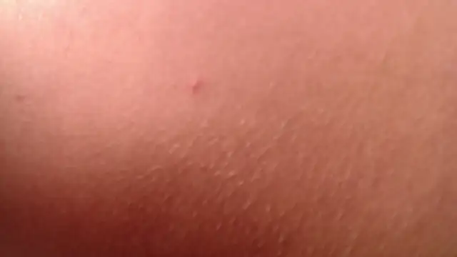 isabella jazz online show from January 2026 04:20:01 PM