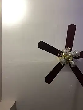 islandvybee55 online show from April 2026 12:01:01 PM