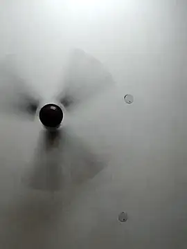 cutiecatty21 online show from October 2025 10:36:01 AM