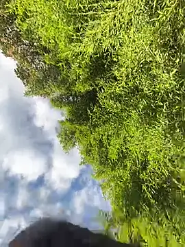 VioletaSubmissive online show from April 2026 10:11:02 PM