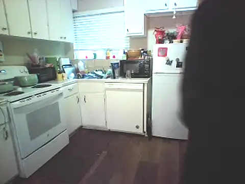 Big-Tits-McGee online show from February 2025 04:29:01 PM