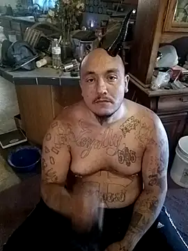 wilsons12 online show from October 2025 02:46:01 PM