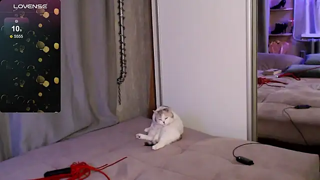 Carrie Moonshine online show from March 2025 12:45:01 AM