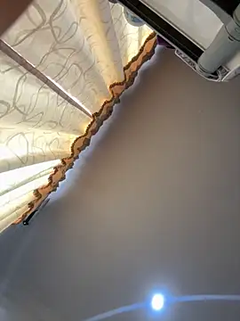 pawmistry online show from October 2025 07:32:02 PM