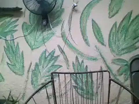 friendsloversex online show from March 2025 05:02:02 PM