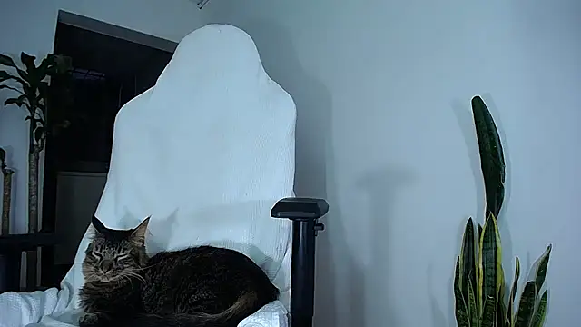 diamond black00 online show from February 2025 10:58:01 PM