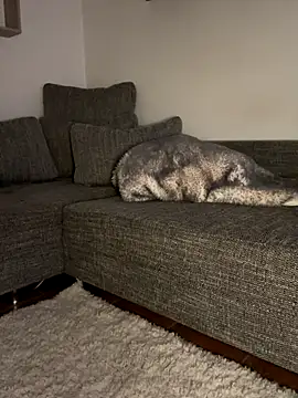 godspot  online show from October 2025 08:20:01 PM