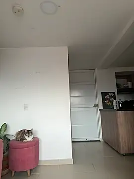 DakotaShelby online show from April 2026 10:22:02 PM