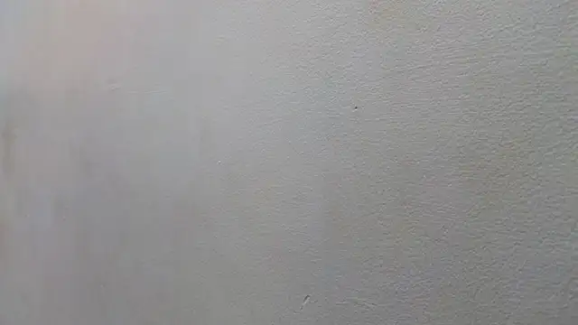 Snapshot of JESSYCORTES chatting on January 2025 08:48:01 PM JESSYCORTES online show from January 2025 08:48:01 PM