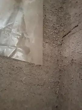 strip 1212 online show from November 2025 05:27:01 PM