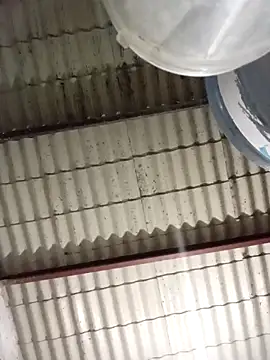 strip 1212 online show from March 2026 02:04:02 AM