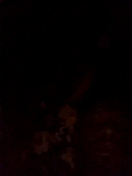 Hilkanna  online show from March 2026 09:29:02 PM