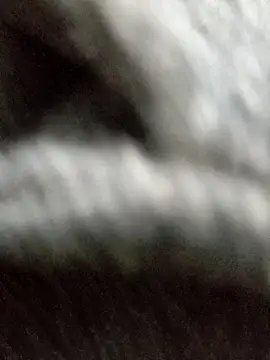 Hilkanna  online show from April 2026 07:33:02 PM