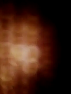 lavancaafiada online show from April 2026 04:15:02 AM