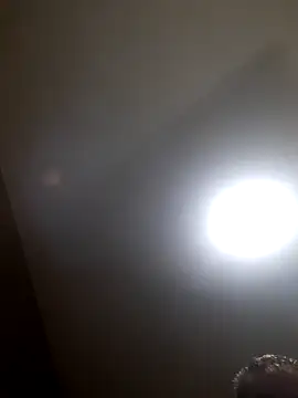 Colorao4 online show from October 2025 11:54:01 AM