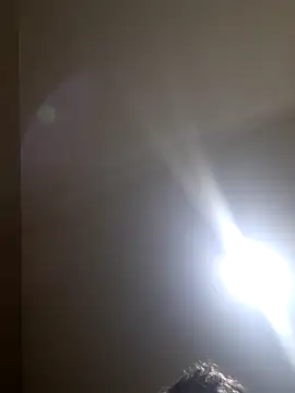 Colorao4 online show from November 2025 11:32:02 AM