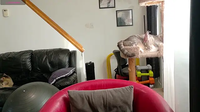 Thekodyy online show from September 2025 12:40:01 PM