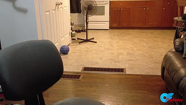 Snapshot of Thekodyy chatting on July 2026 09:24:01 AM Thekodyy online show from July 2026 09:24:01 AM