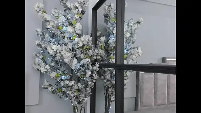 Maaracooper online show from January 2025 03:39:02 AM