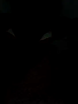 catreena online show from February 2026 07:29:02 PM