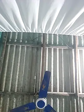 hotbaby 5 online show from November 2025 04:00:02 PM