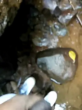 dpkpaksudda online show from September 2025 07:12:01 AM