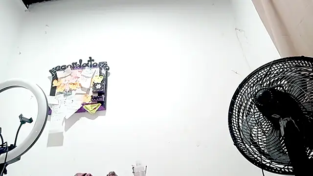 PetiteIvoryQueen19 online show from October 2025 05:41:01 AM