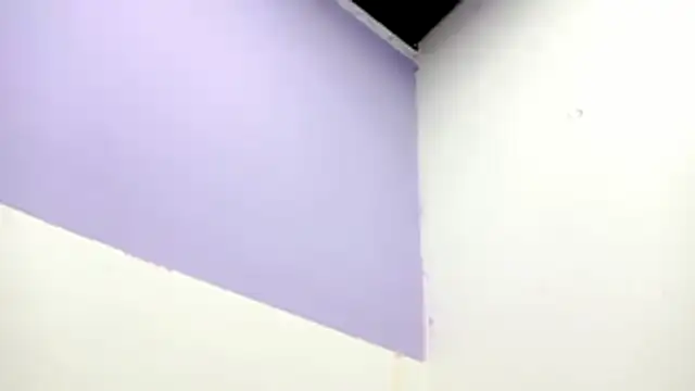 PetiteIvoryQueen19 online show from February 2026 01:01:02 AM