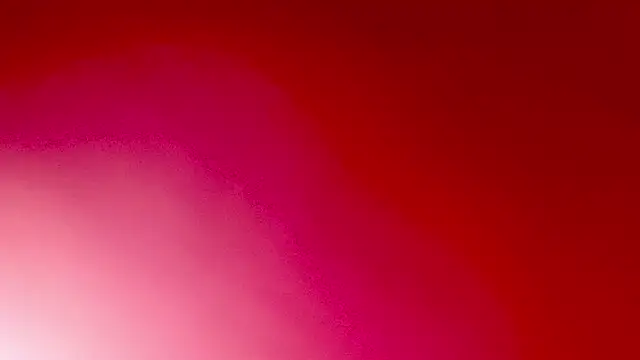 Snapshot of PetiteIvoryQueen19 chatting on May 2026 05:12:01 AM PetiteIvoryQueen19 online show from May 2026 05:12:01 AM