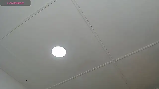 dannaberlin 0 online show from March 2025 12:34:01 PM