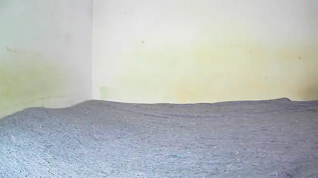 fern tlk online show from January 2025 07:58:02 PM