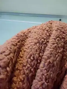 911Calling online show from December 2024 04:01:02 AM