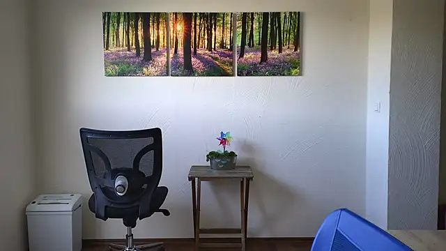 Harry Boldt online show from November 2025 12:15:01 PM