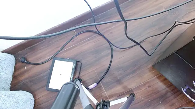 Aurora blossom   online show from December 2024 12:22:02 PM