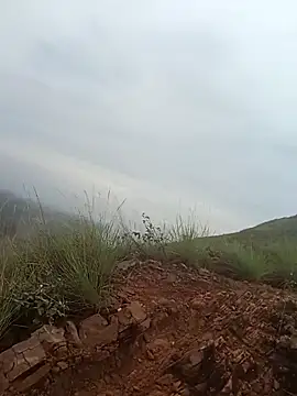 Snapshot of PervertedMature chatting on November 2025 11:44:02 AM PervertedMature online show from November 2025 11:44:02 AM