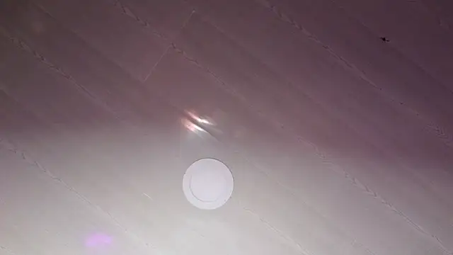 Snapshot of Alahia7demon chatting on October 2025 12:13:01 AM Alahia7demon online show from October 2025 12:13:01 AM