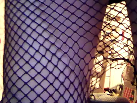 Snapshot of cyril020202 chatting on December 2024 06:17:01 PM cyril020202 online show from December 2024 06:17:01 PM