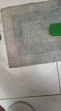 Snapshot of lobomisterioso13 chatting on January 2025 12:37:02 PM lobomisterioso13 online show from January 2025 12:37:02 PM