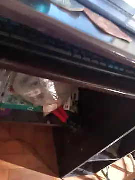 lobomisterioso13 online show from April 2026 02:17:02 PM