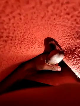 Snapshot of Ssdhaka11 chatting on December 2024 07:13:02 PM Ssdhaka11 online show from December 2024 07:13:02 PM