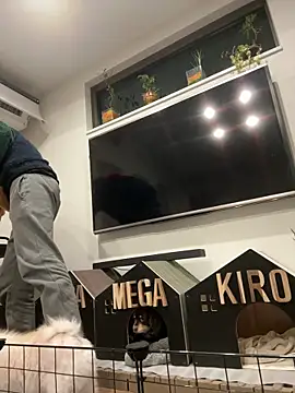 kensnb online show from January 2025 08:48:01 PM