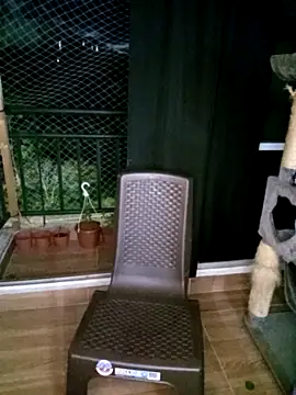 saba the courtesan online show from November 2025 11:15:01 PM