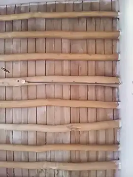 Atabey 65 online show from December 2025 12:03:02 PM