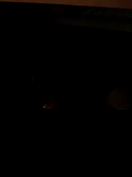 coppiapazza online show from December 2025 11:22:01 PM