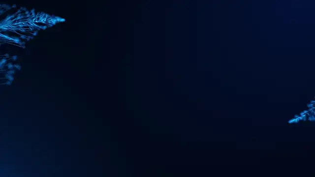 Hr Frk Olsen online show from February 2025 04:56:02 PM