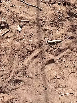 paugrande453 online show from September 2025 10:51:01 AM