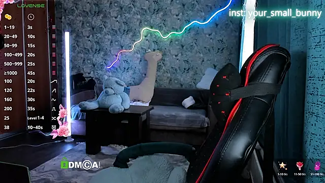 Your small bunny online show from March 2026 03:03:02 AM